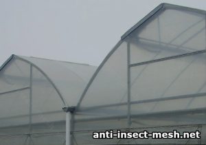 Anti insect mesh