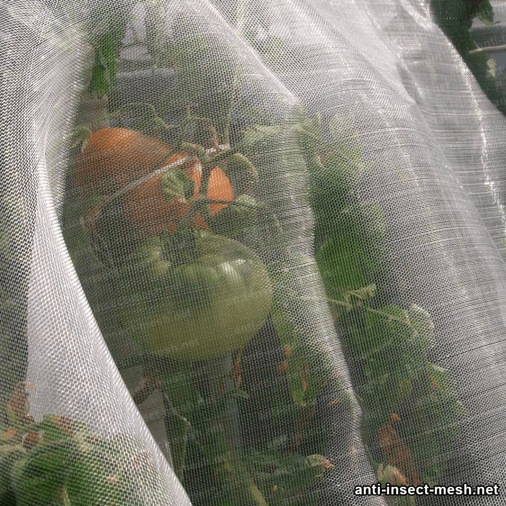 insect mesh barrier installed in tomato plants