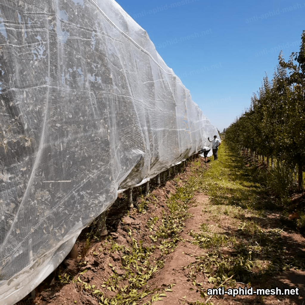 Anti insect barrier for crops 