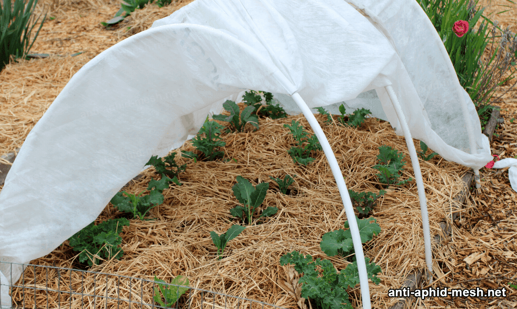 anti insect netting for crops 